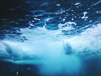 Close-up of jellyfish swimming in sea