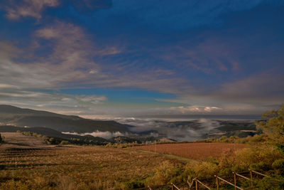 Scenic view of landscape against sky