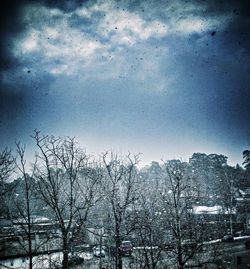 Snow covered landscape