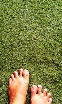 Low section of person legs on grass