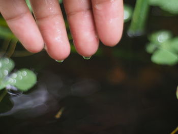 Close-up of person hand with leaf in water