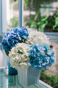 Close-up of flower pots against the window