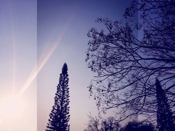 Low angle view of trees against blue sky