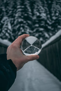 Close-up of person holding crystal ball against snow covered trees during winter