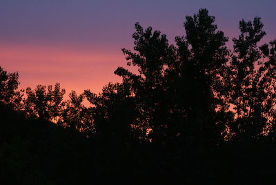 Low angle view of silhouette trees against sky at sunset