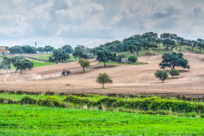 Scenic view of farm against sky