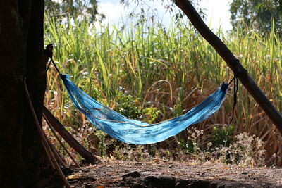 Panoramic shot of hammock on field against trees