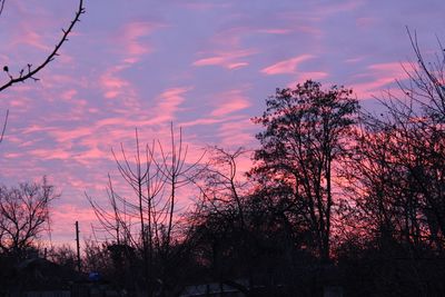 Low angle view of silhouette trees against romantic sky