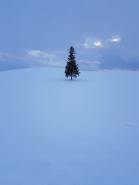 Tree on snow covered field against sky