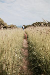 Rear view of man walking in farm