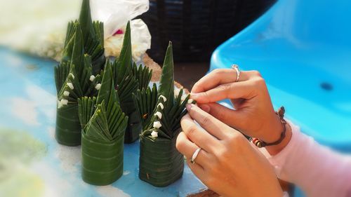 Close-up of woman hand holding red flowering plant