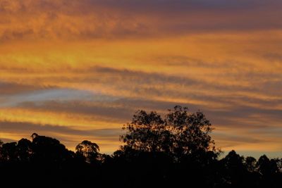 Silhouette trees against sky during sunset