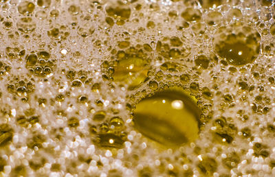 Close-up of water drops on glass