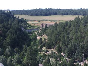 High angle view of trees on landscape against sky