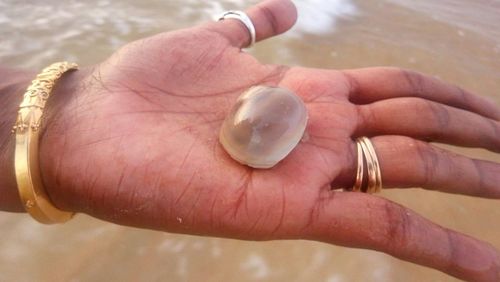 Close-up of human hand