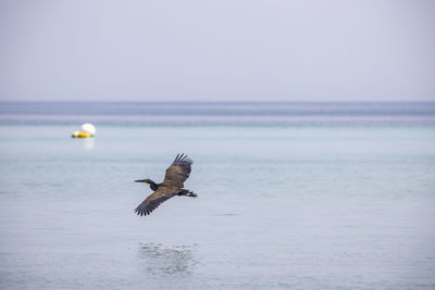 Heron turning