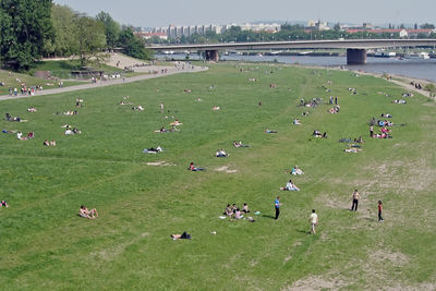 People on grassy field
