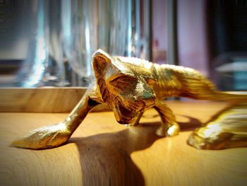 Close-up of insect on table