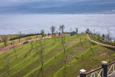 Scenic view of agricultural field against sky