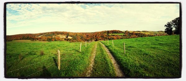 Scenic view of agricultural field against sky