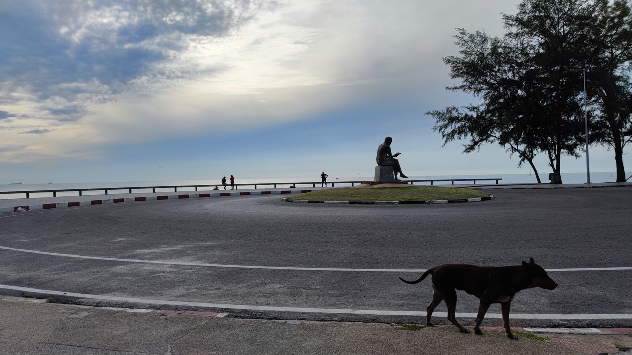 MAN AND DOG ON THE BEACH