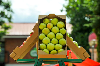 Close-up of fruits for sale at market stall