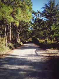 Road amidst trees against sky