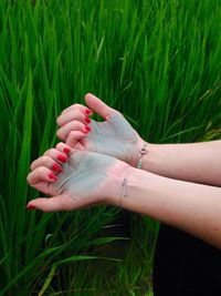 Cropped hand of woman with red painted nails over grass