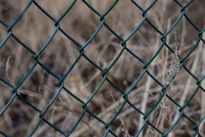 Full frame shot of chainlink fence