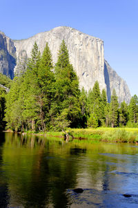 Scenic view of lake by trees against sky