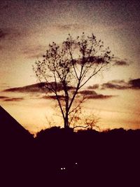 Silhouette bare trees against sky at sunset