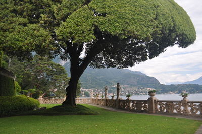 Scenic view of landscape against mountains