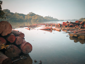 Timber industry along the back of kallai river in calicut