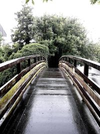 Walkway amidst trees against sky