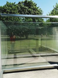 Reflection of trees on glass window