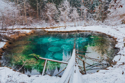 Lake in winter forest