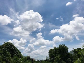 Low angle view of trees against sky