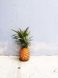 High angle view of pineapple on floor against wall