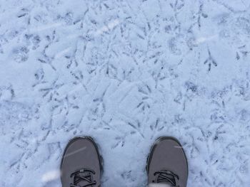 Low section of person standing on snow covered field