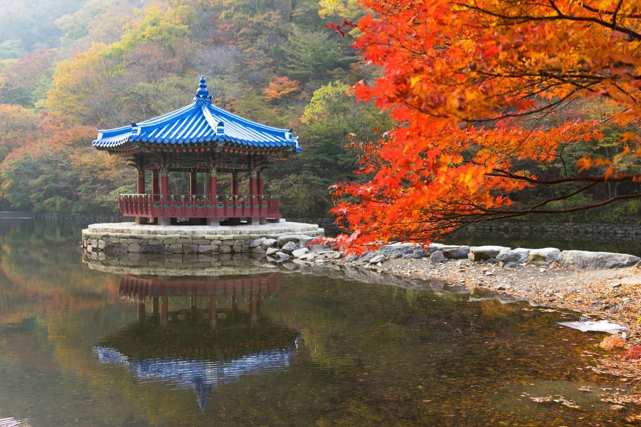 autumn, leaf, nature, reflection, water, tree, lake, beauty in nature, change, maple tree, architecture, built structure, outdoors, religion, scenics, day, no people, maple leaf, tranquil scene, spirituality, building exterior