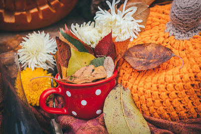 Close-up view of pumpkin