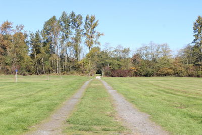 Footpath amidst trees on field against sky