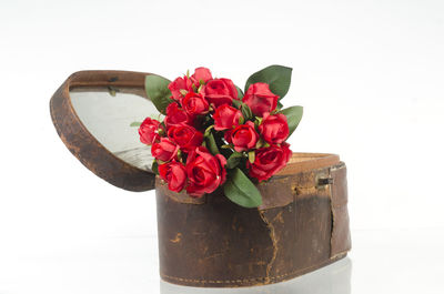 Close-up of red rose in vase against white background