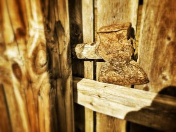 Close-up of wooden door