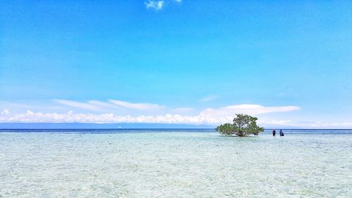 Scenic view of sea against blue sky