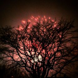 Low angle view of silhouette trees against sky at night