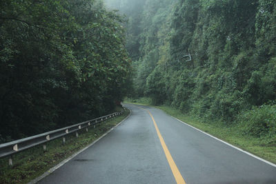 Empty road amidst trees in forest
