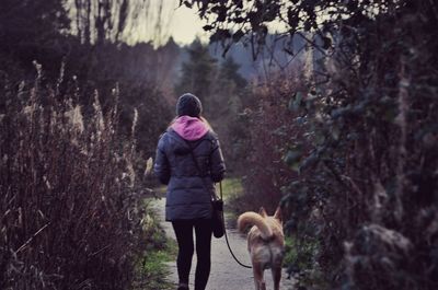 Rear view of woman with dog walking amidst trees