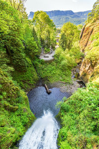 High angle view of multnomah falls amidst trees