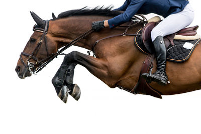 Side view of person riding horse in competition
